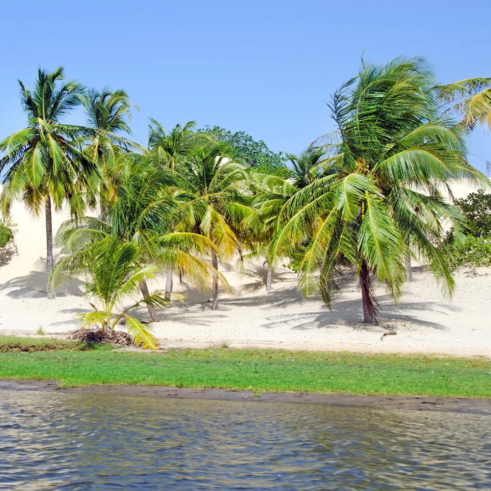 Jericoacoara-pacote